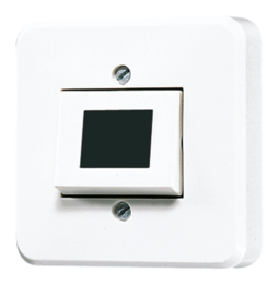 JUNG Кнопка 10А 250V с символом 