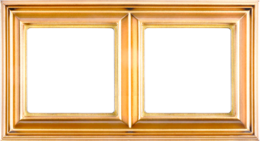 Eco Profi DECO - Рамка для вертикальной и горизонтальной установки 2-местная, цвет золото